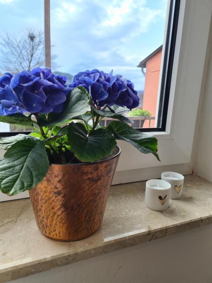 Ferienwohnung Rosenberg Oberemmel 외부 사진